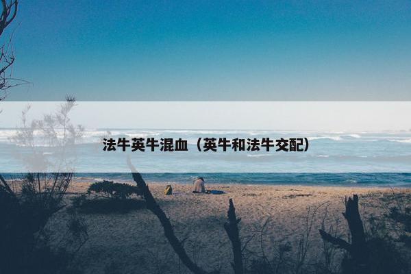 法牛英牛混血（英牛和法牛交配）
