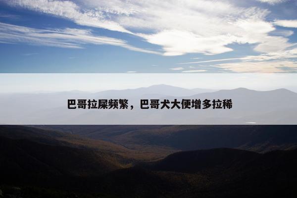 巴哥拉屎频繁，巴哥犬大便增多拉稀