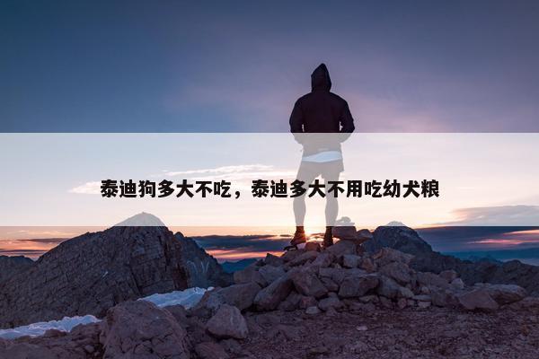 泰迪狗多大不吃，泰迪多大不用吃幼犬粮