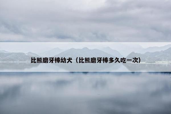 比熊磨牙棒幼犬（比熊磨牙棒多久吃一次）