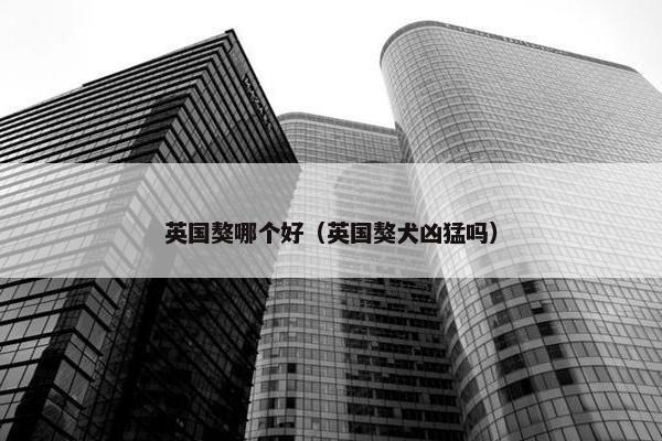 英国獒哪个好（英国獒犬凶猛吗）
