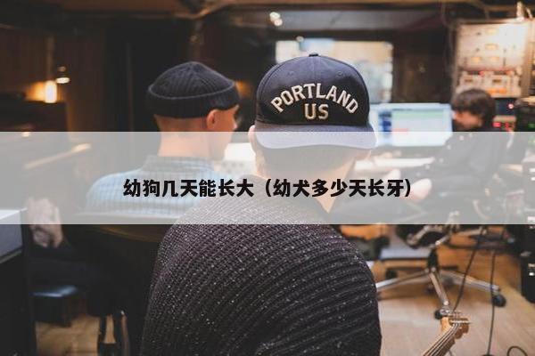 幼狗几天能长大（幼犬多少天长牙）