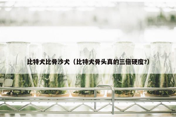 比特犬比骨沙犬（比特犬骨头真的三倍硬度?）