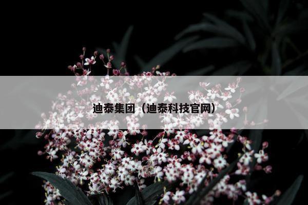 迪泰集团（迪泰科技官网）