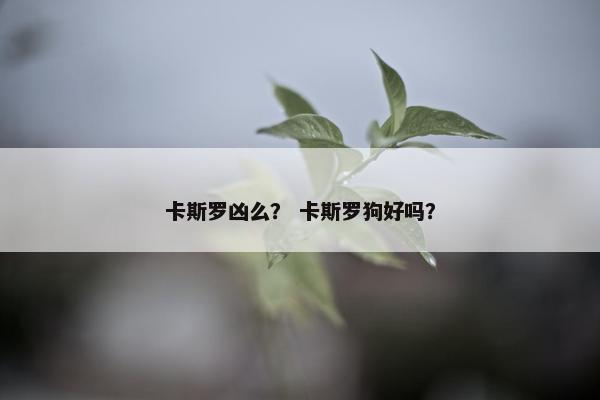 卡斯罗凶么？ 卡斯罗狗好吗？
