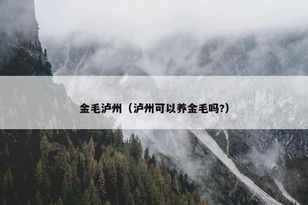 金毛泸州（泸州可以养金毛吗?）