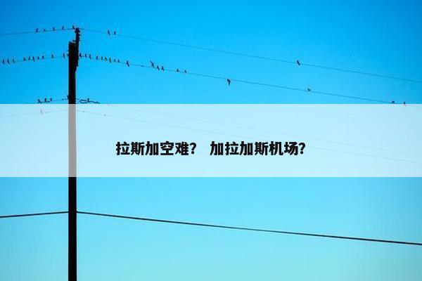 拉斯加空难？ 加拉加斯机场？