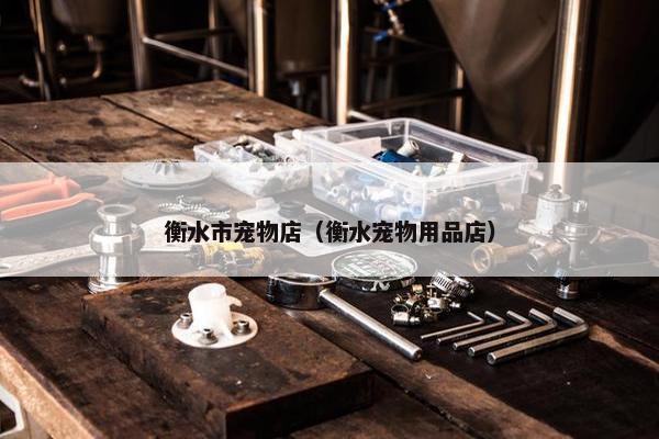 衡水市宠物店（衡水宠物用品店）
