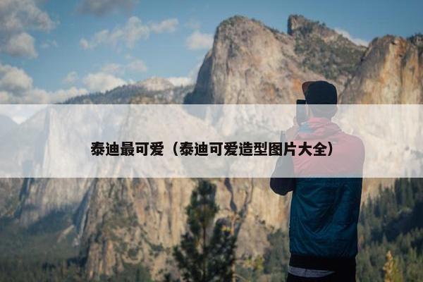 泰迪最可爱（泰迪可爱造型图片大全）