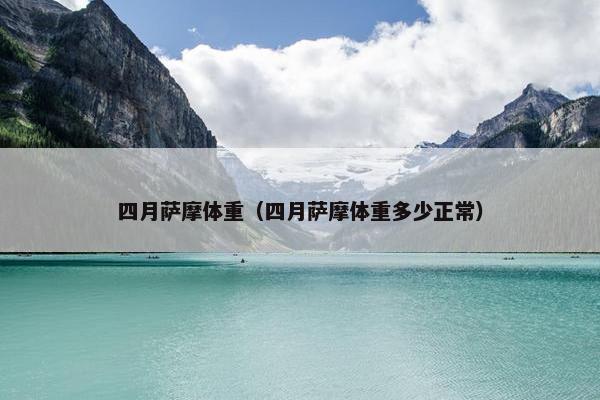 四月萨摩体重（四月萨摩体重多少正常）