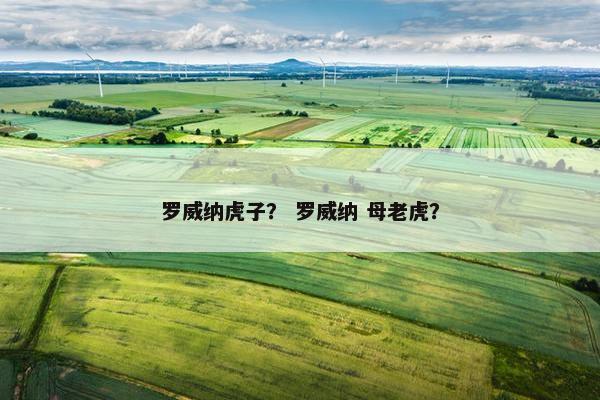 罗威纳虎子？ 罗威纳 母老虎？