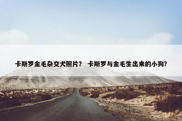 卡斯罗金毛杂交犬照片？ 卡斯罗与金毛生出来的小狗？