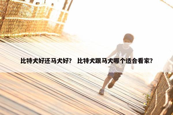 比特犬好还马犬好？ 比特犬跟马犬哪个适合看家？