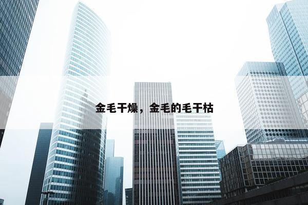 金毛干燥，金毛的毛干枯