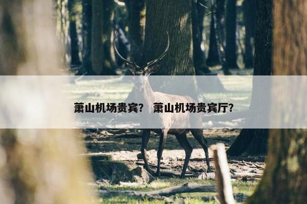 萧山机场贵宾？ 萧山机场贵宾厅？