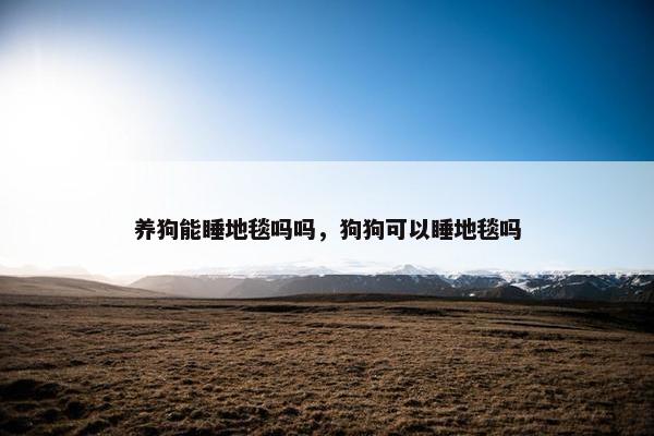 养狗能睡地毯吗吗，狗狗可以睡地毯吗