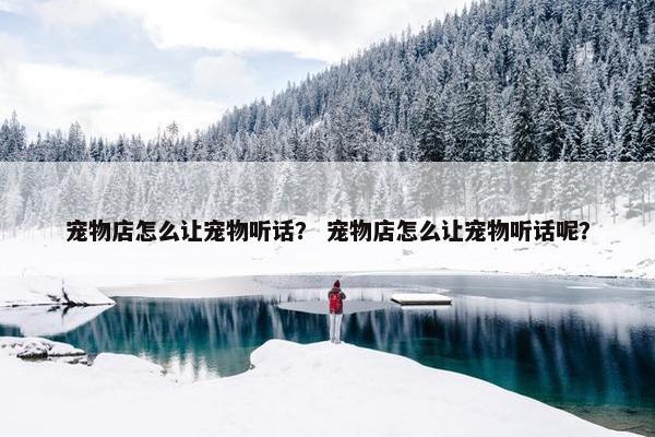 宠物店怎么让宠物听话？ 宠物店怎么让宠物听话呢？
