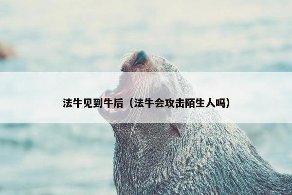 法牛见到牛后（法牛会攻击陌生人吗）
