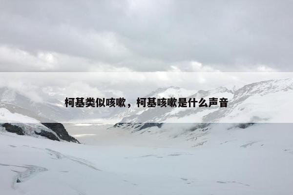 柯基类似咳嗽，柯基咳嗽是什么声音