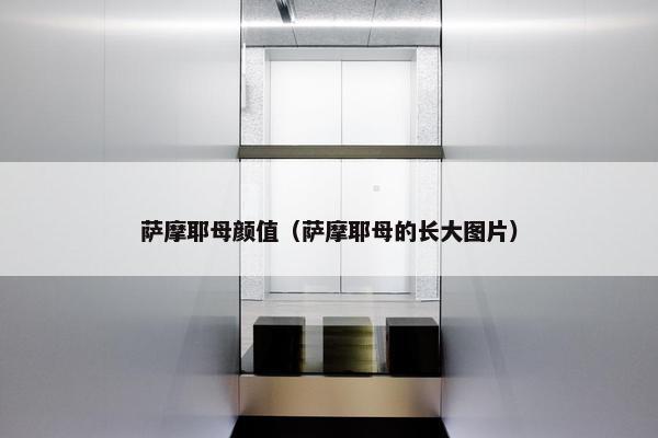 萨摩耶母颜值（萨摩耶母的长大图片）