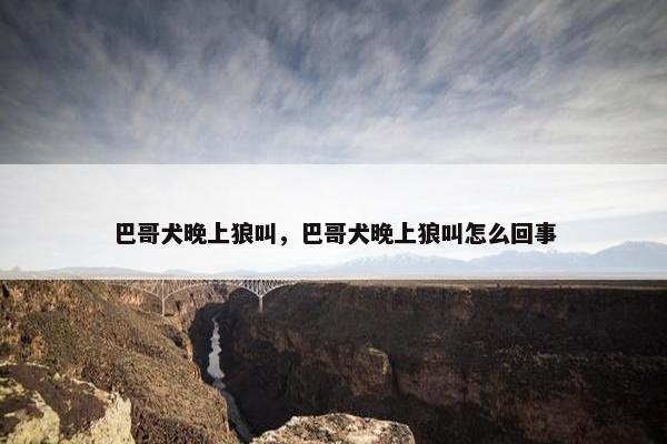巴哥犬晚上狼叫，巴哥犬晚上狼叫怎么回事