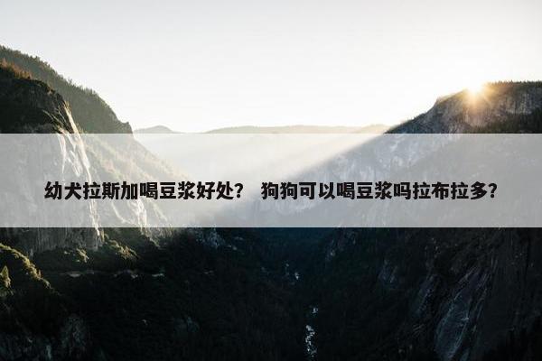 幼犬拉斯加喝豆浆好处？ 狗狗可以喝豆浆吗拉布拉多？