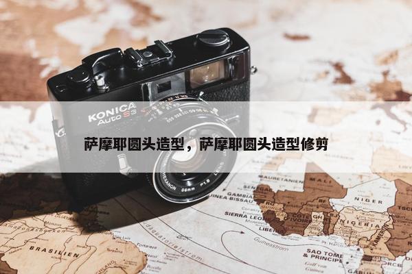 萨摩耶圆头造型，萨摩耶圆头造型修剪
