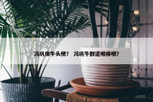 冯巩像牛头梗？ 冯巩牛群逗哏捧哏？