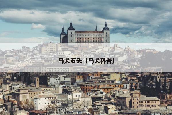 马犬石头（马犬科普）
