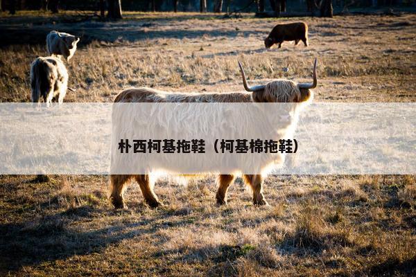 朴西柯基拖鞋（柯基棉拖鞋）