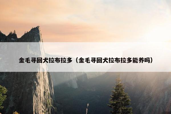 金毛寻回犬拉布拉多（金毛寻回犬拉布拉多能养吗）