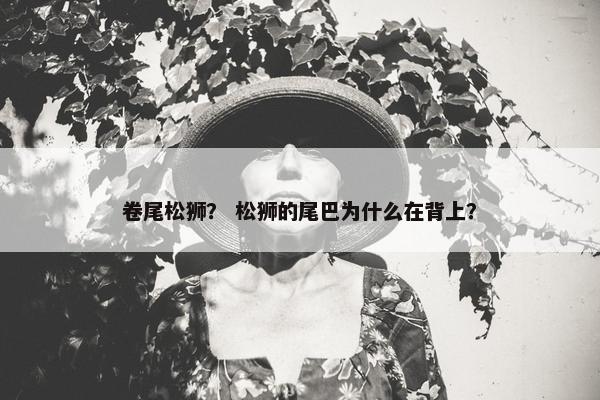 卷尾松狮？ 松狮的尾巴为什么在背上？
