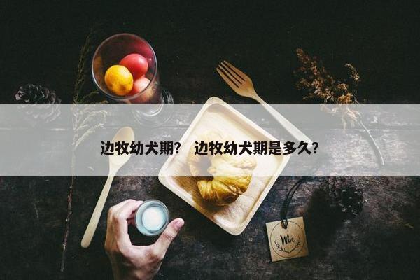 边牧幼犬期？ 边牧幼犬期是多久？