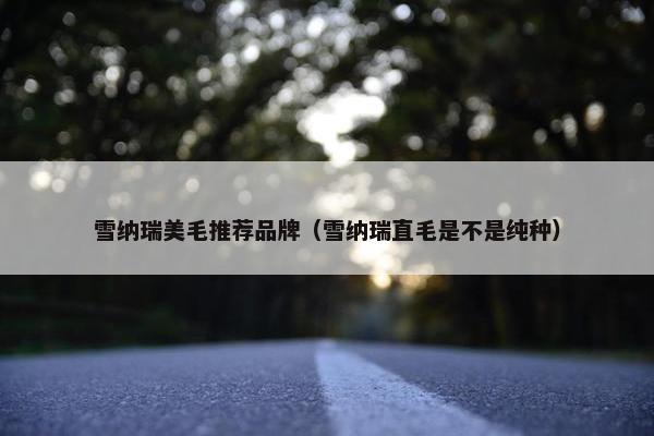 雪纳瑞美毛推荐品牌（雪纳瑞直毛是不是纯种）