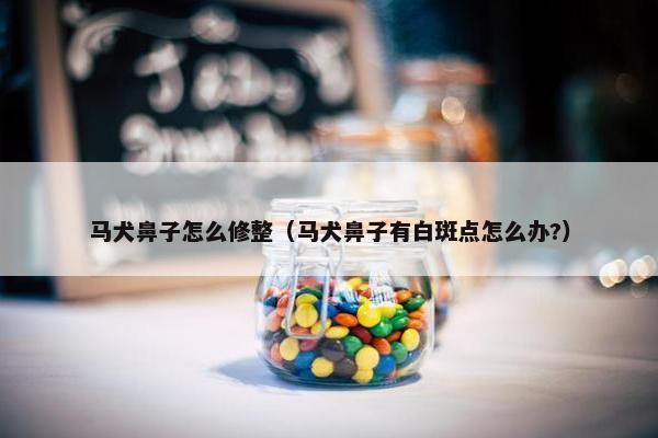 马犬鼻子怎么修整（马犬鼻子有白斑点怎么办?）