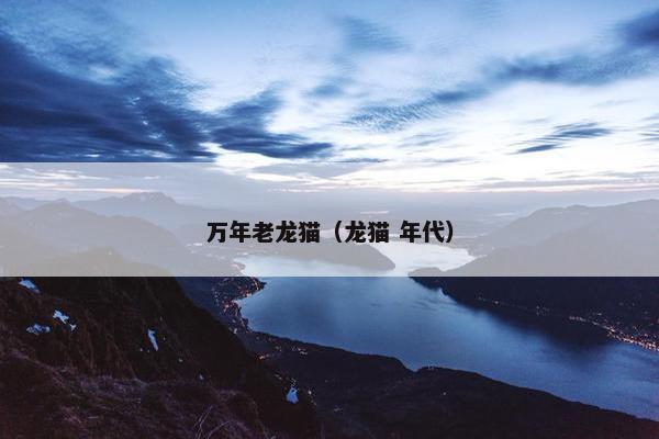 万年老龙猫（龙猫 年代）