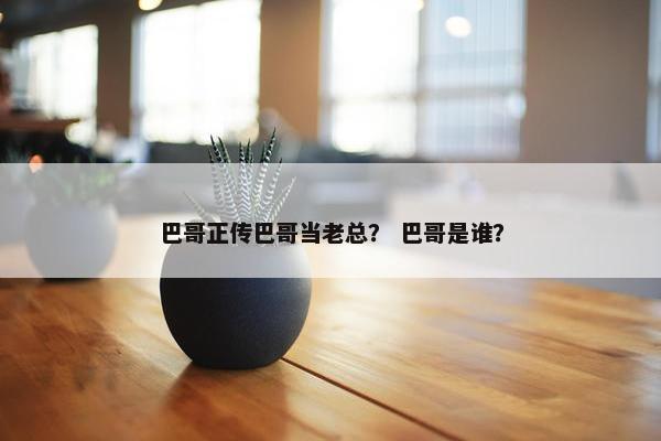 巴哥正传巴哥当老总？ 巴哥是谁？