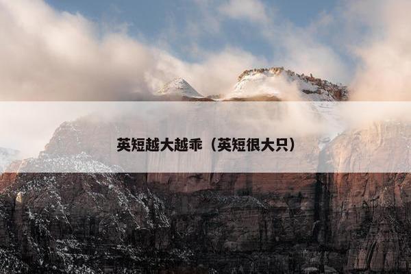 英短越大越乖（英短很大只）