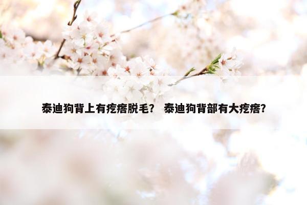 泰迪狗背上有疙瘩脱毛？ 泰迪狗背部有大疙瘩？