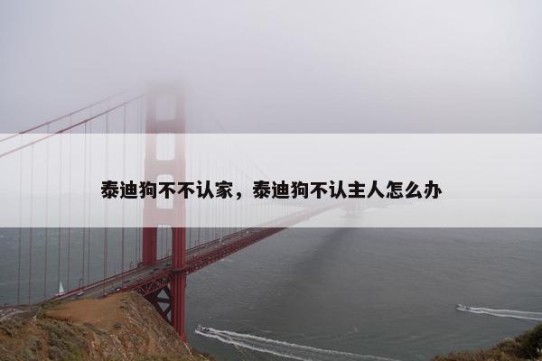 泰迪狗不不认家，泰迪狗不认主人怎么办