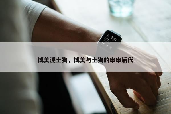 博美混土狗，博美与土狗的串串后代