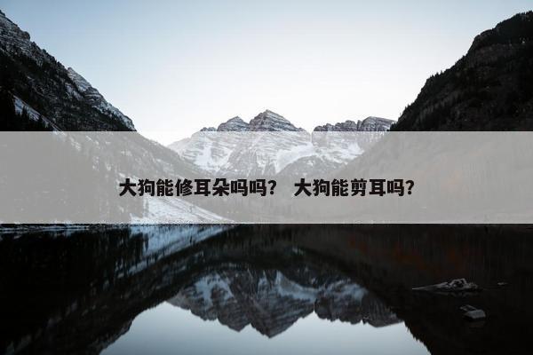 大狗能修耳朵吗吗？ 大狗能剪耳吗？