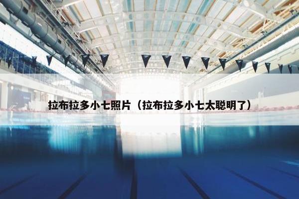 拉布拉多小七照片（拉布拉多小七太聪明了）