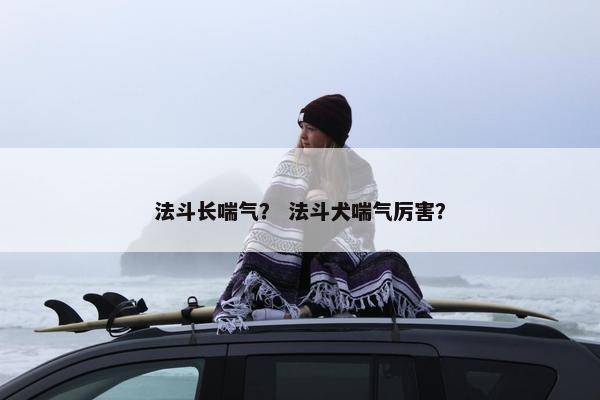 法斗长喘气？ 法斗犬喘气厉害？