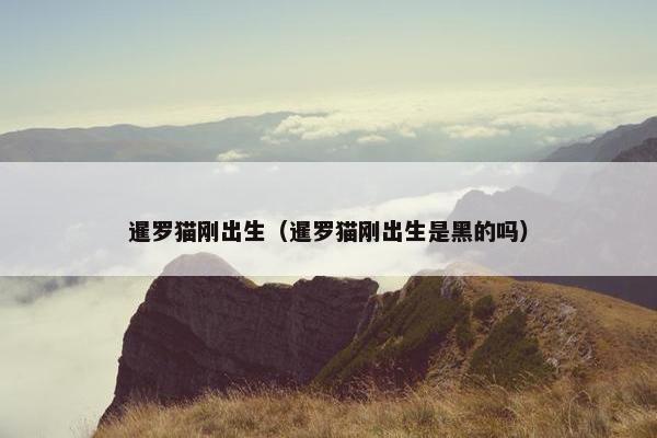 暹罗猫刚出生（暹罗猫刚出生是黑的吗）
