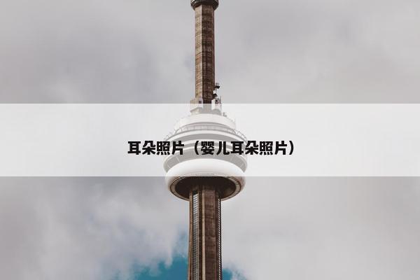 耳朵照片（婴儿耳朵照片）