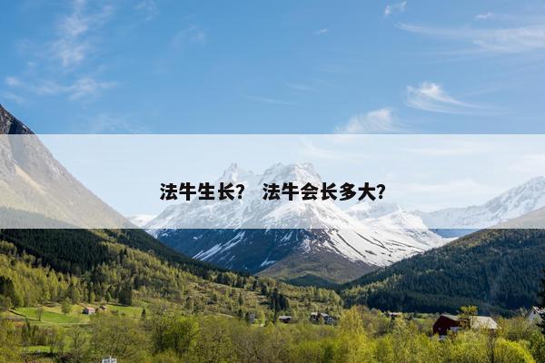 法牛生长？ 法牛会长多大？