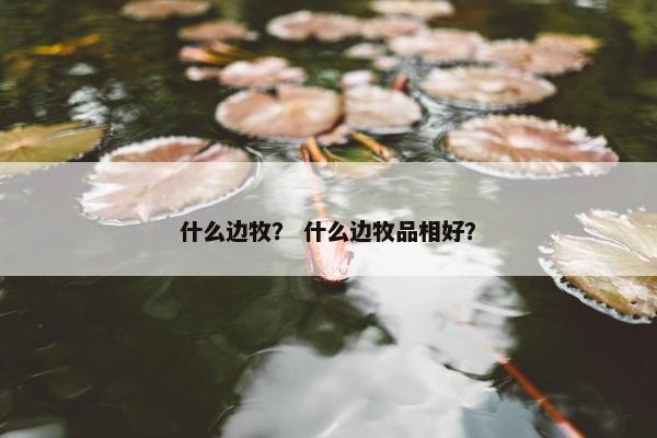什么边牧？ 什么边牧品相好？