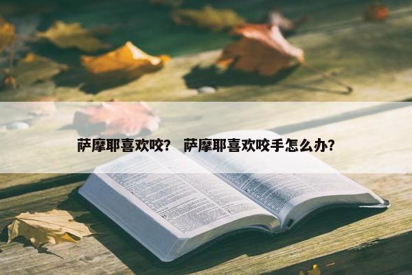 萨摩耶喜欢咬？ 萨摩耶喜欢咬手怎么办？