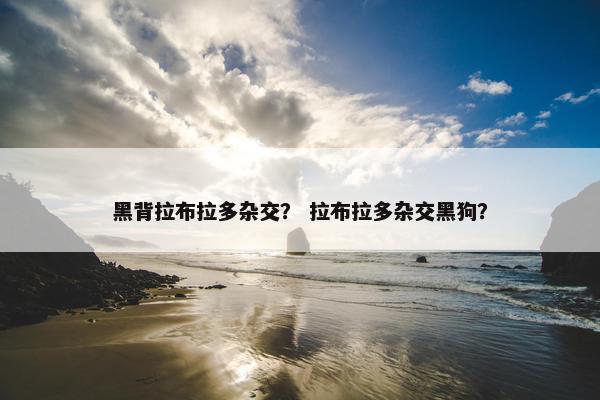 黑背拉布拉多杂交？ 拉布拉多杂交黑狗？